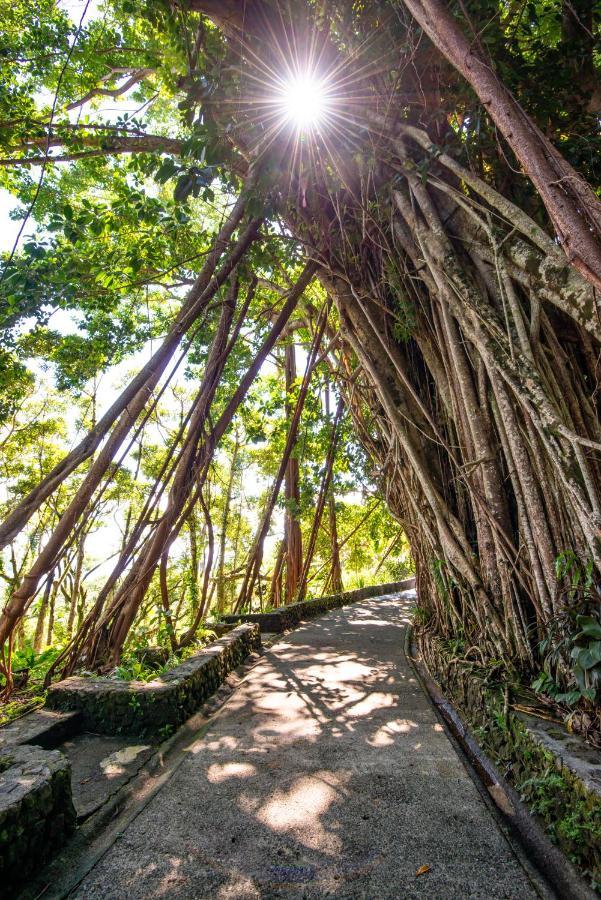Palau Carolines Resort Koror Eksteriør bilde